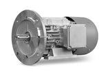 24V- 0,75 kW- 2pol- B35 Gleichstrommotor P125