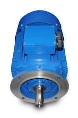 Elektromotor-M1 315S-55 kW-8pol-B35