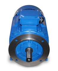 Electric motor M4 355MY-200 kW-6pol-B35