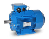 Drehstrommotor MSP 100L 1,76/1,2 kW 4/6pol-B3