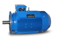 Electric motor M4 225M-45 kW-4pol-B5