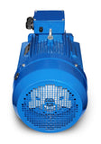 Elektromotor-M1 315L-90 kW-8pol-B3