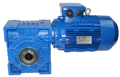 SEVA-EV 100-802-0.75 kW-46 rpm worm gear motor M1