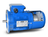Bremsmotor BMS 100L2-3 kW-4pol-B5