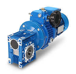 2.1.23 Worauf ist bei Schnecken-Verstellgetriebemotoren besonders zu achten?