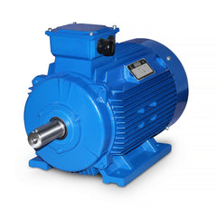 Electric motor M4 315S-75 kW-6pol-B3