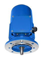 Bremsmotor BM3 100L-1,5 kW-6pol-B5