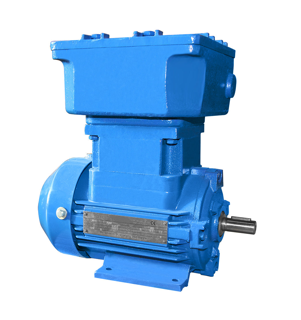 Exor Motor Ex motor 80a 0.75 kw IE3 2 pole B3