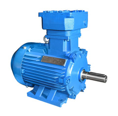 ATEX electric motor ASA 315S 110 kW 2pol-B3
