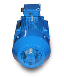 Elektromotor-M4 315L-110 kW-6pol-B3