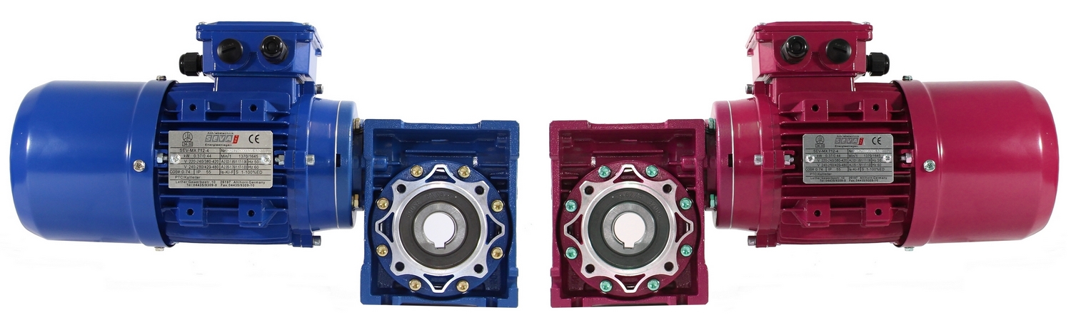 Worm gear with brake motors and special paint (red)