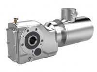 Stainless steel bevel gear motor with Terminalbox